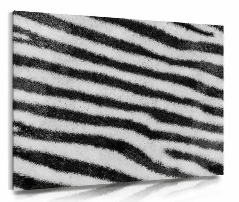 Obraz na płótnie - pasy zebry
