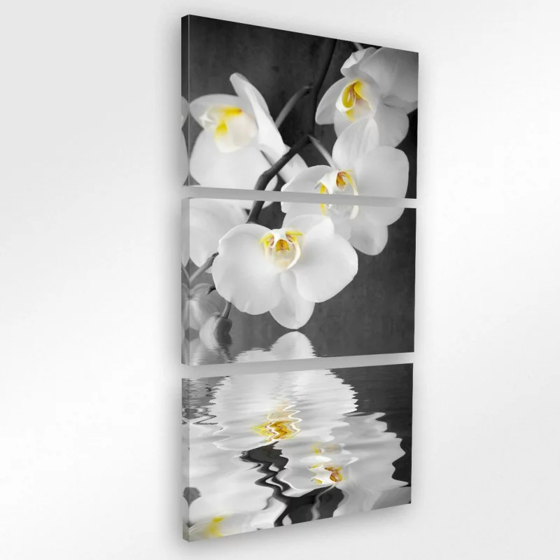 Obraz pionowy na płótnie - orchidee