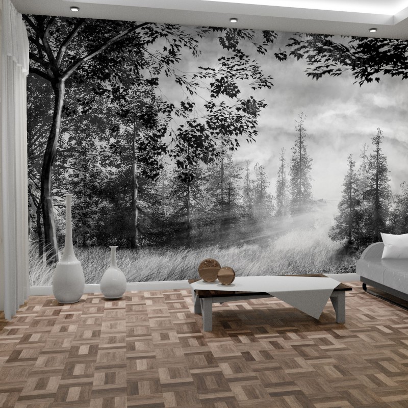 Fototapeta Čierno biely les
