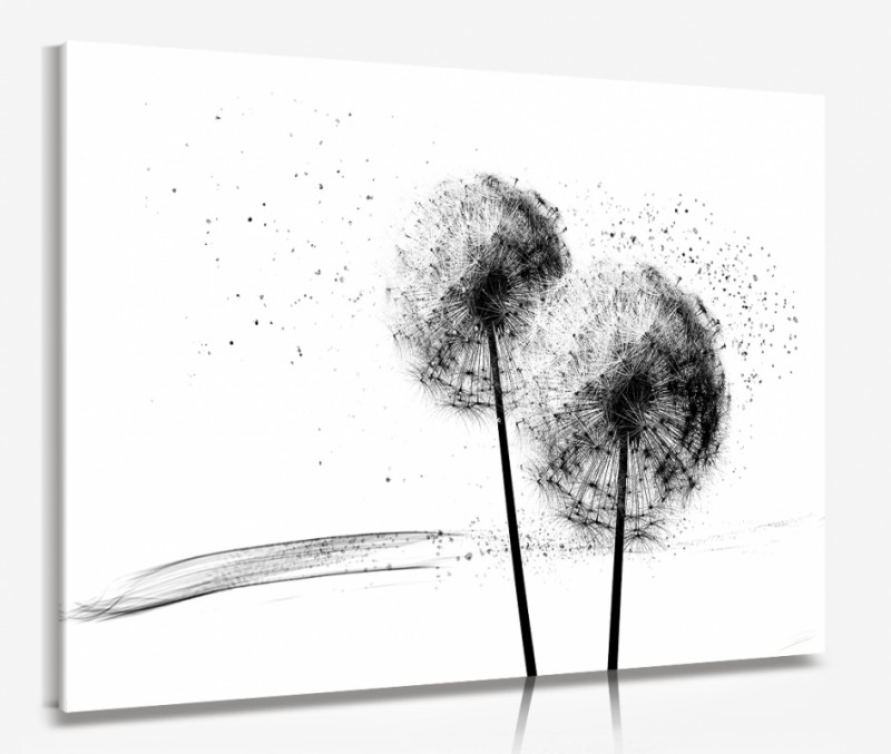 Obraz dmuchawce inspiracje॥