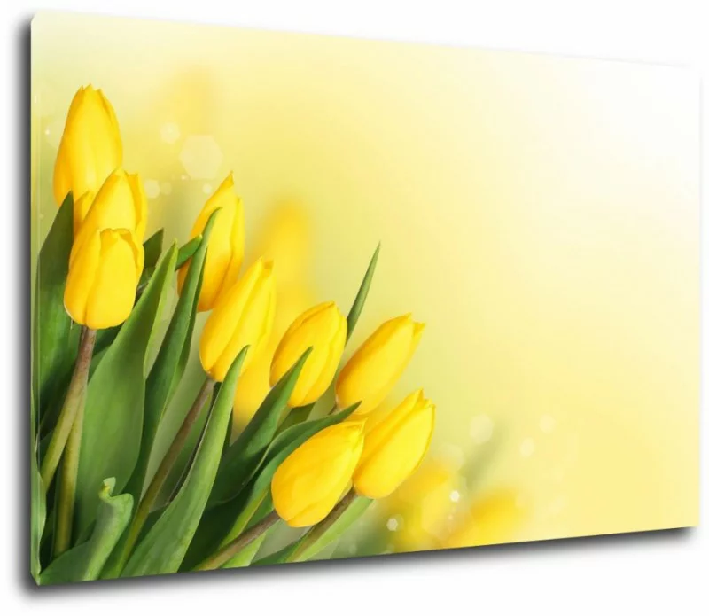 Obraz żółte tulipany 120x75 cm - obrazek 1