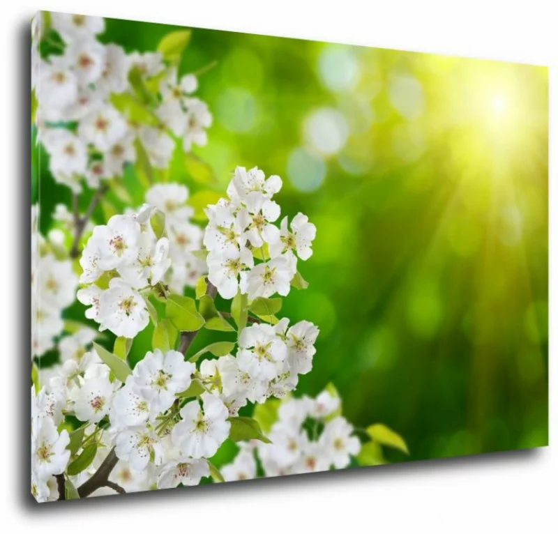 Obraz na płótnie Wiosna 120x80cm - obrazek 1