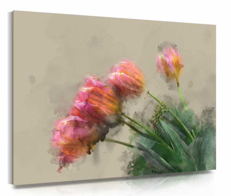Obraz na plátne Tulipány kreslené