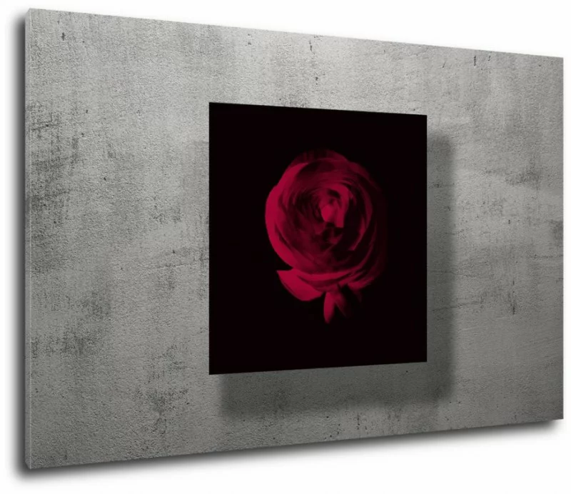 obraz czerwona róża - obrazek 1