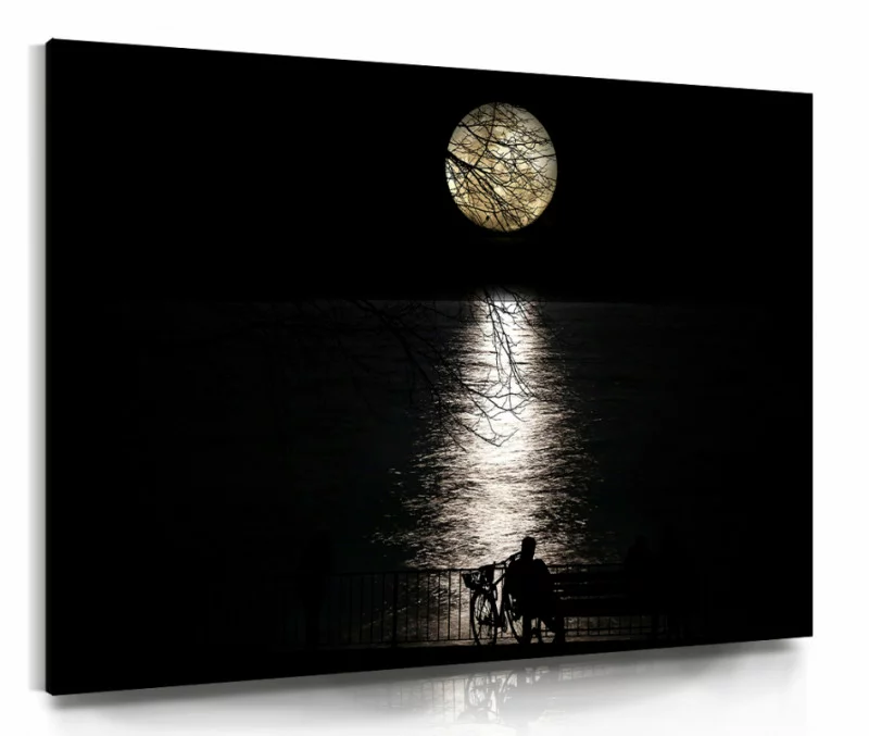 Obraz na płótnie - księżycowa noc - obrazek 1