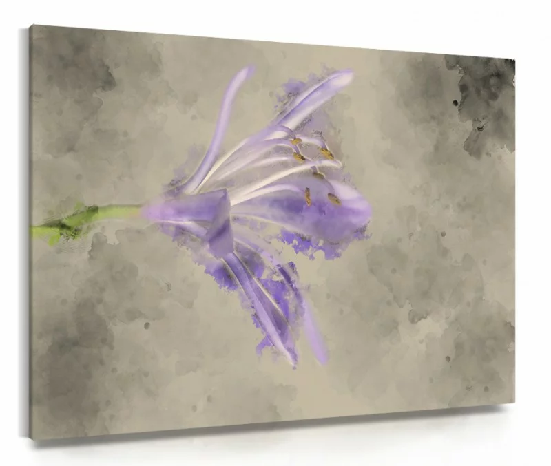 Obraz na płótnie - samotna lilia - obrazek 1