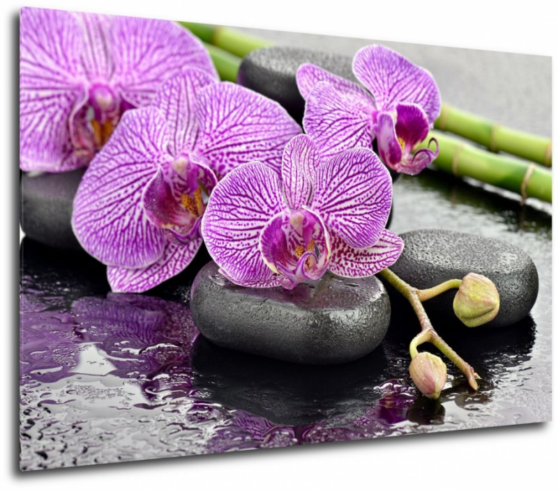 Obraz na plátne Fialová orchidea na kameňoch