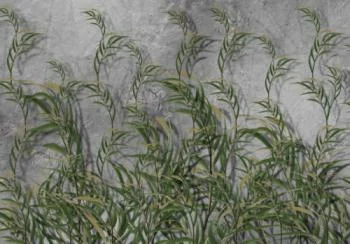 Fototapeta 3D - zielone liście palmy