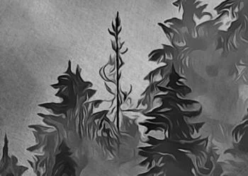 Obraz szkicowany las we mgle