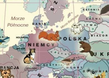 Fototapeta dla dzieci - mapa świata i zwierzęta - obrazek 3