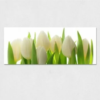 obraz na szkle - kremowe tulipany