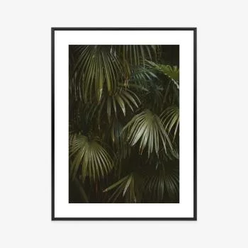 Plakat w ramie - ciemnozielone liście palmowe - obrazek 3