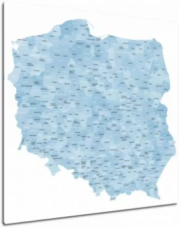 Obraz mapa Polski - miasta, powiaty, województwa - obrazek 2