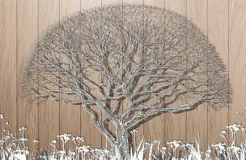Fototapeta 3D do salonu - drzewo