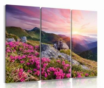 Obraz piękna łąka - zachód słońca