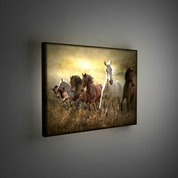 Obraz podświetlany LED - stado galopujących koni