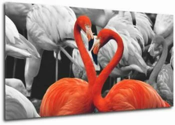 Obraz na płótnie - miłość flamingów