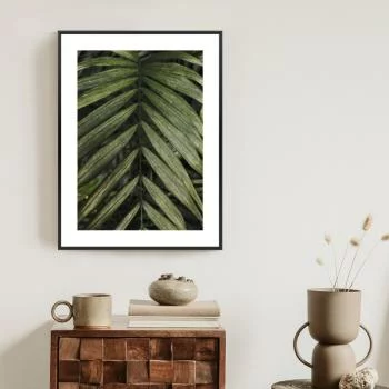 Plakat w ramie - egzotyczne liście palmowe