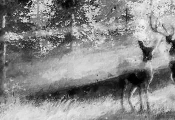 Obraz jelenie w lesie