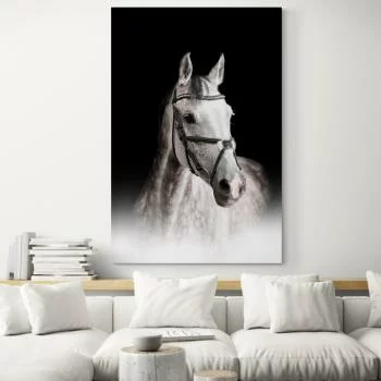 Obraz - portret konia (biały)