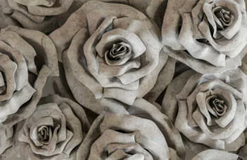 Fototapeta na wymiar - kamienne róże