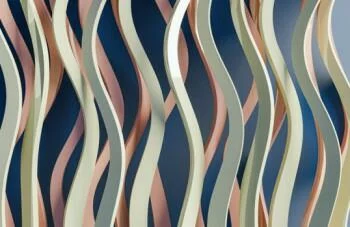 Fototapeta 3D figlarne szaleństwo - obrazek 2