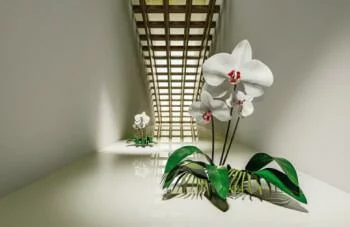 Fototapeta 3D - Orchidee w tunelu