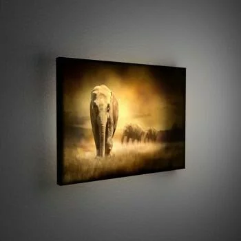 Obraz podświetlany LED - samotny słoń