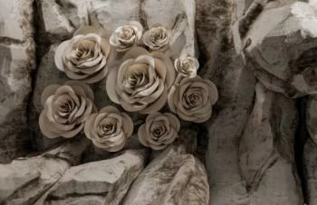 Fototapeta 3D - kwiaty uwięzione wśród skał