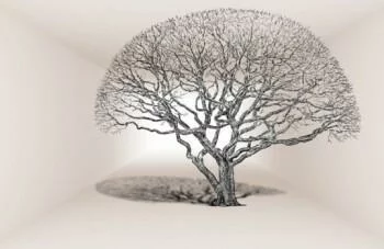 Fototapeta 3D do sypialni - drzewo w tunelu - obrazek 2
