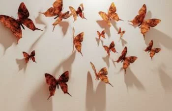 Fototapeta 3D - motyle na ścianie - obrazek 2