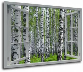 Obraz - okno z widokiem na las
