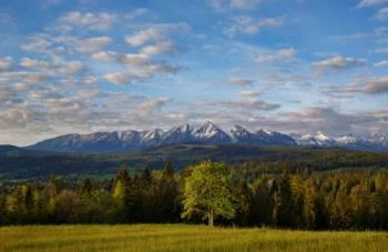 Fototapeta na wymiar - Tatry - obrazek 2