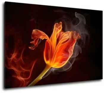 Obraz na płótnie - płomienny tulipan - obrazek 2