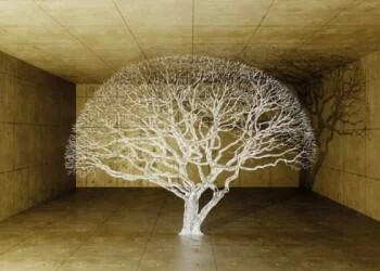 Fototapeta 3D - drzewo nadziei - obrazek 2