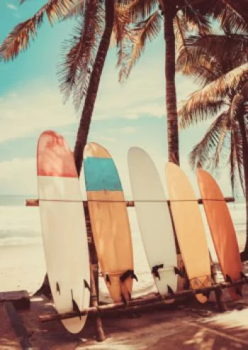 Plakat w ramie - palmy z deskami surfingowymi - obrazek 2