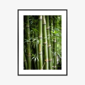Plakat w ramie - las bambusowy z bliska - obrazek 3