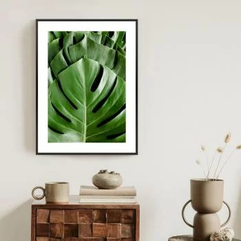 Plakat w ramie - monstera liście palmowe