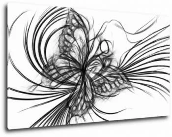 Obraz szkicowany motyl