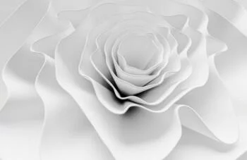 Fototapeta 3D plisowany kwiat