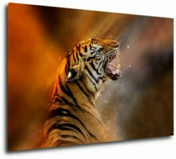 Obraz na ścianę - tygrys