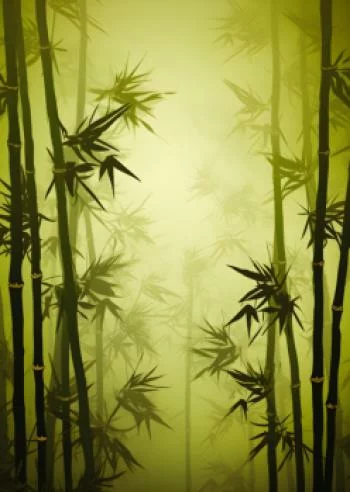 Plakat w ramie - las bambusowy we mgle - obrazek 2
