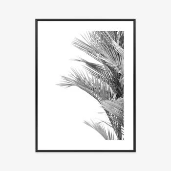 Plakat w ramie - czarno-białe liście palmowe - obrazek 3