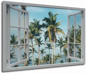 Obraz okno - wysokie palmy