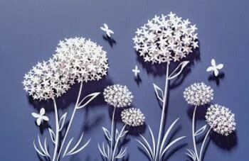 Fototapeta 3D - białe kwiaty - obrazek 2