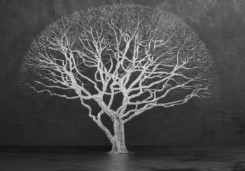 Fototapeta 3D - drzewo w pokoju - obrazek 2