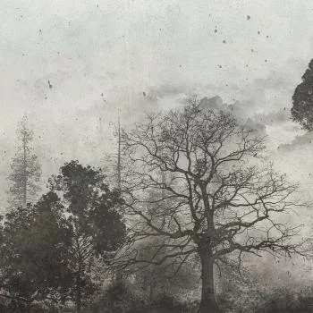 Fototapeta duży wymiar - ekspresyjny las - obrazek 3