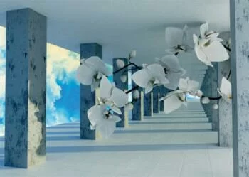 Fototapeta 3D - orchidee w chmurach - obrazek 2