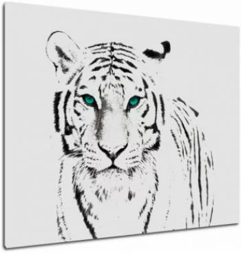 Obraz na płótnie - wzrok tygrysa