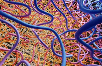 Fototapeta 3D kolorowe wężyki - obrazek 2